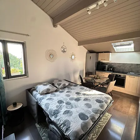Apartamento Au Calme, Parking Gratuit,proche Centre Thonon Les Bains *